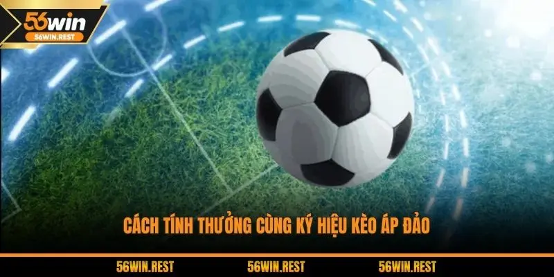 Cách tính thưởng cùng ký hiệu kèo áp đảo