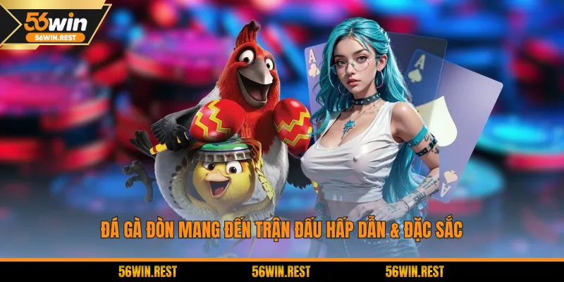 Đá gà Đòn mang đến trận đấu hấp dẫn & đặc sắc