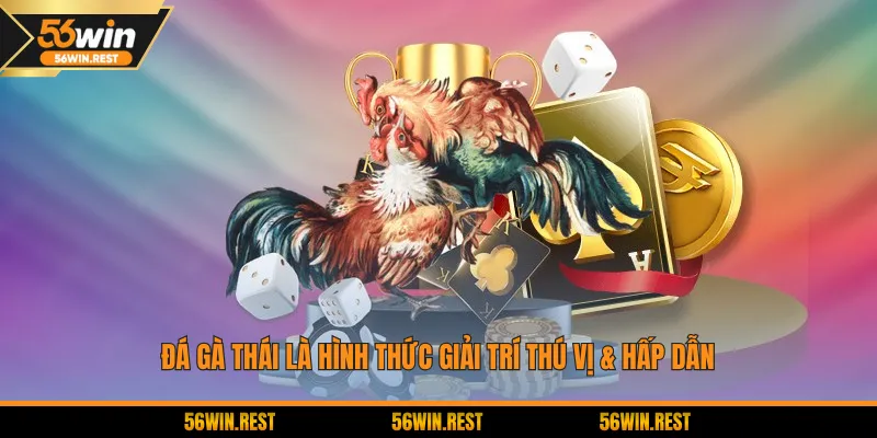 Đá Gà Thái là hình thức giải trí thú vị & hấp dẫn