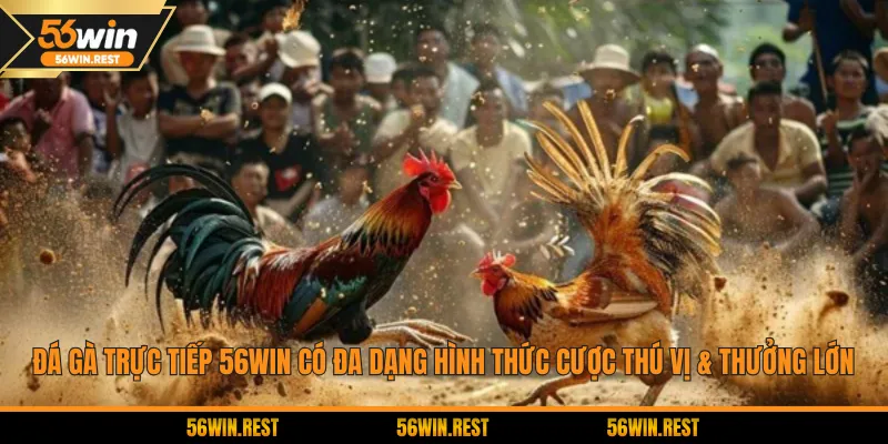 Đá gà trực tiếp 56Win có đa dạng hình thức cược thú vị & thưởng lớn