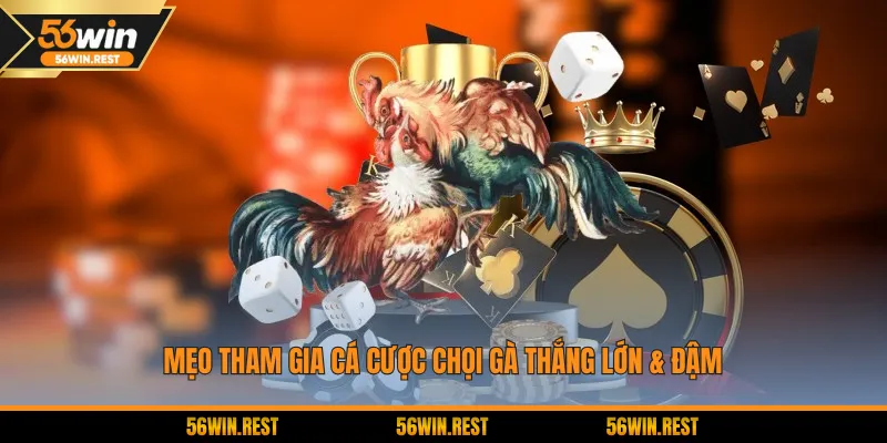 Mẹo tham gia cá cược chọi gà thắng lớn & đậm
