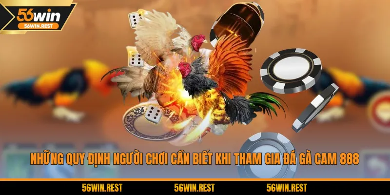 Những quy định người chơi cần biết khi tham gia đá gà Cam 888
