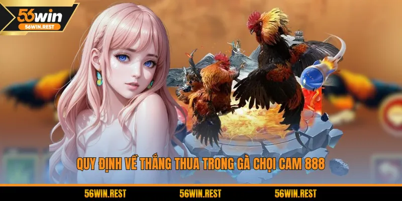 Quy định về thắng thua trong gà chọi Cam 888